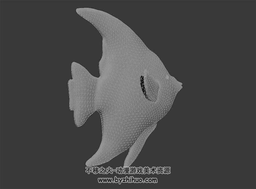 两个热带鱼白模 3D模型 有绑定和游动动作