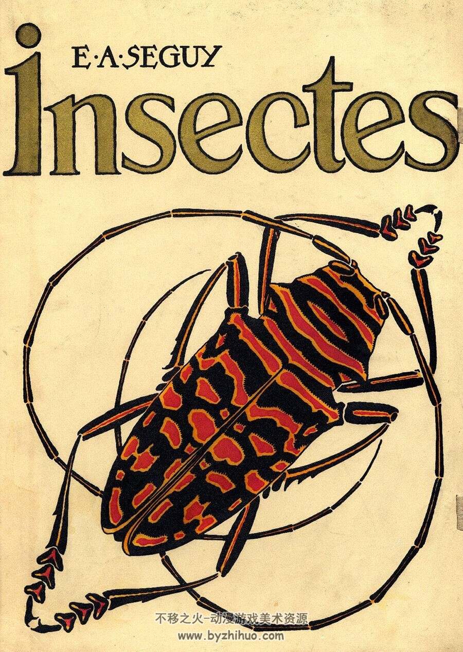 Seguy.E.A 昆虫 Insectes图集分享 21P