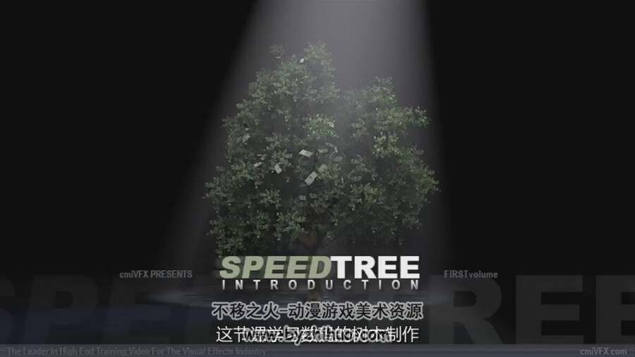 SpeedTree 树木建模制作快速门视频教程 中文字幕