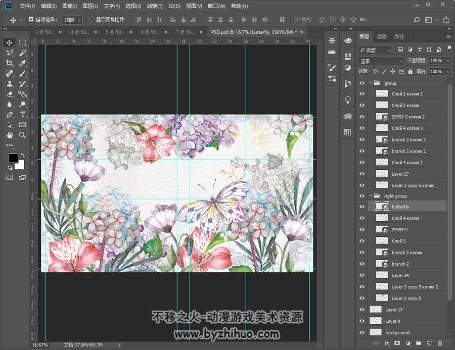 手绘风植物花卉 PNG图集+6个PSD源文件分享