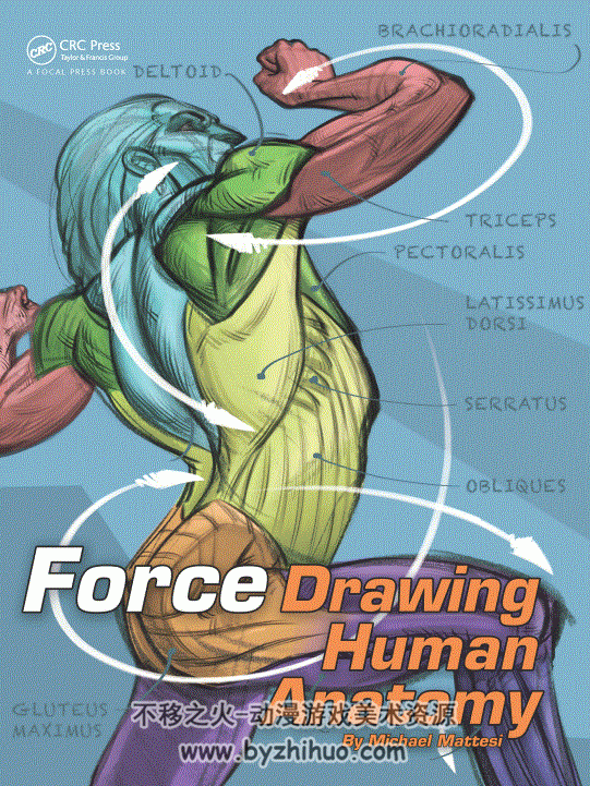 Mattesi - Force 人体系列教程 四本合集