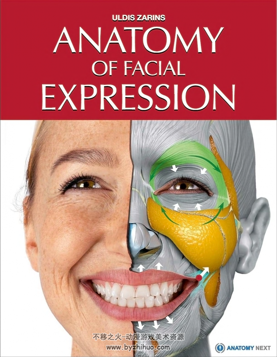 Anatomy of Facial Expressions 面部表情艺用解剖