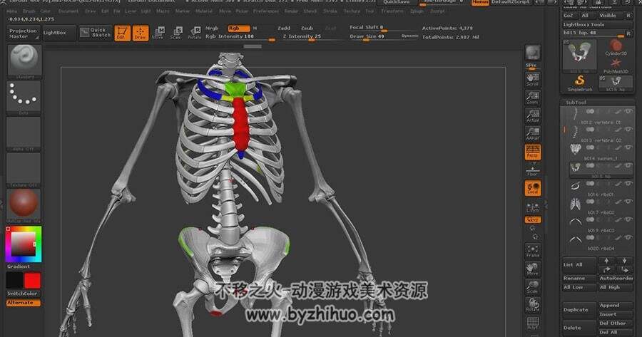 zbrush 人体解剖视频教程 中文教程  47.8GB