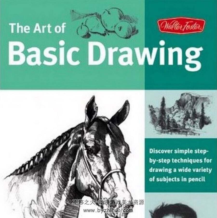 The Art of Basic Drawing 基础美术绘画