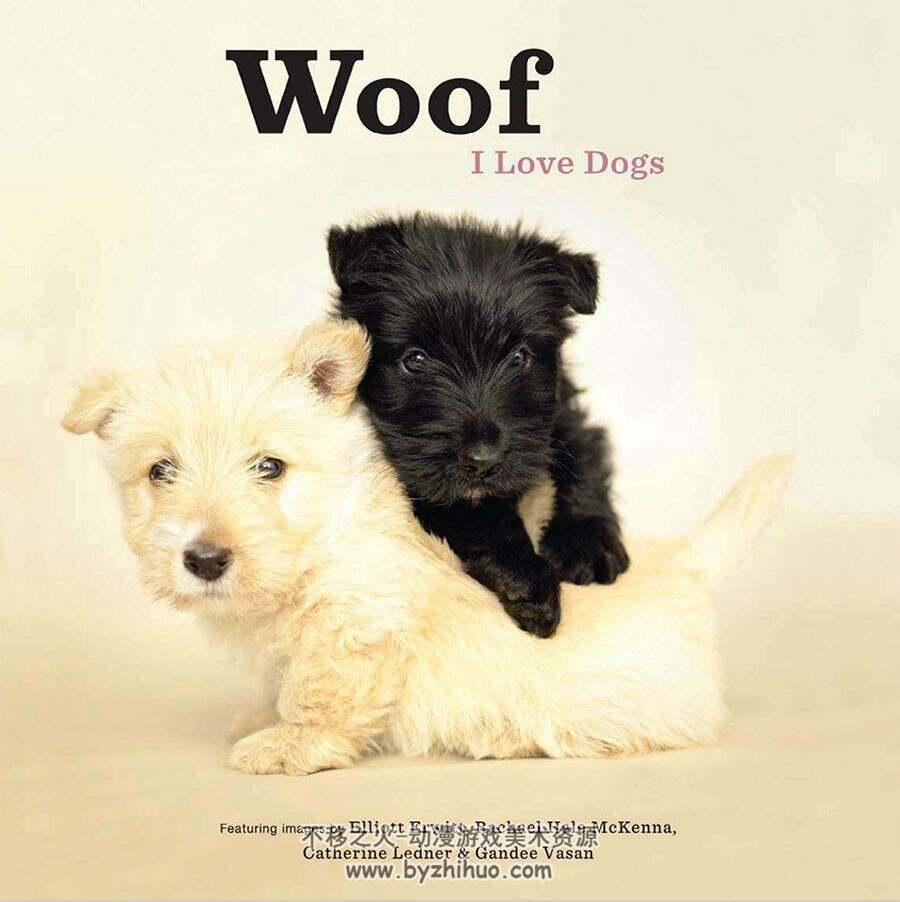 Woof I Love Dogs 狗狗可爱照片参考素材