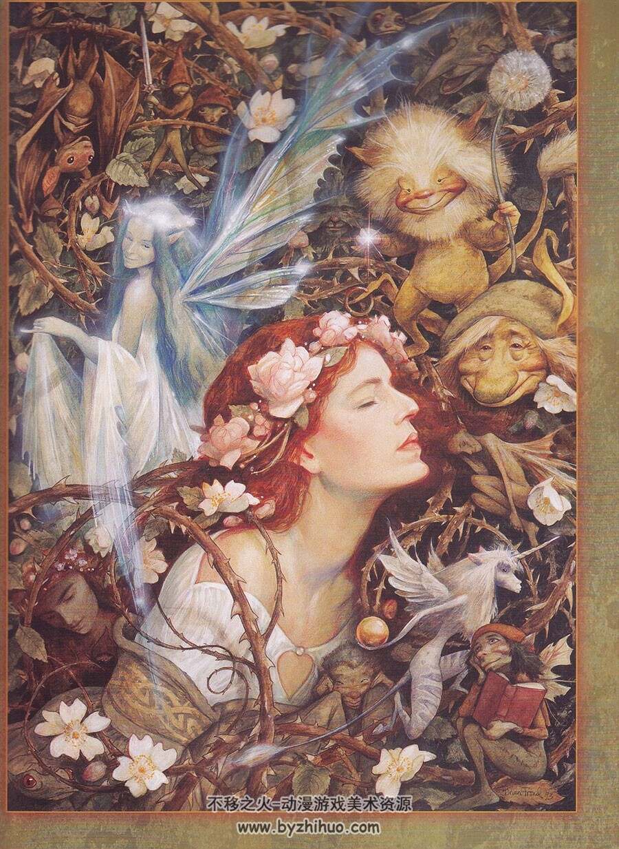 Brian Froud 的精灵世界 插画作品画集 Brian Froud's World of Faerie