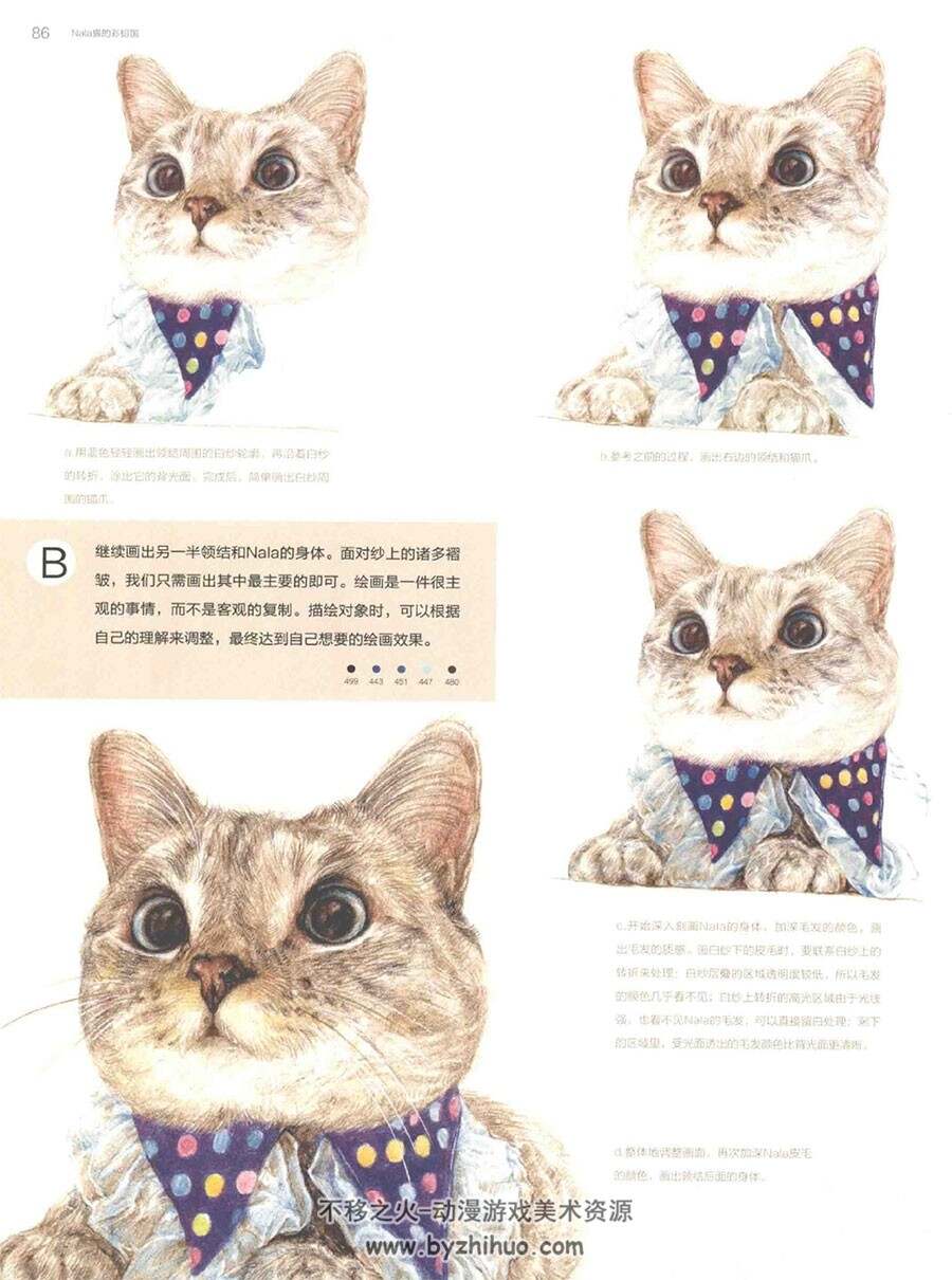 Nala Cat 猫的彩铅国 画师SUNRISE - J  手绘彩铅插画教程电子版