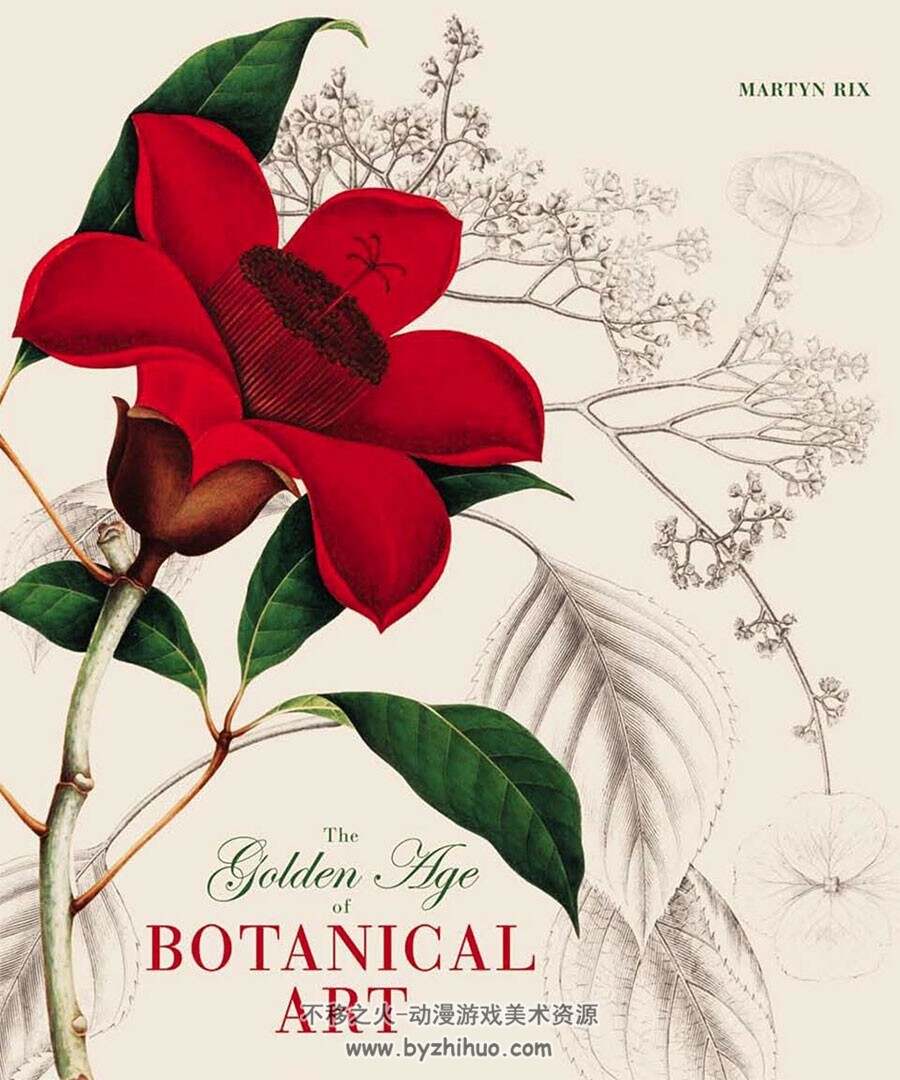 The Golden Age of Botanical 传统美术手绘植物图文鉴赏参考资料