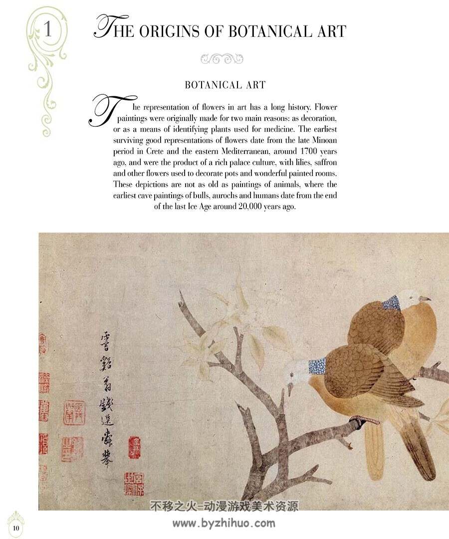The Golden Age of Botanical 传统美术手绘植物图文鉴赏参考资料