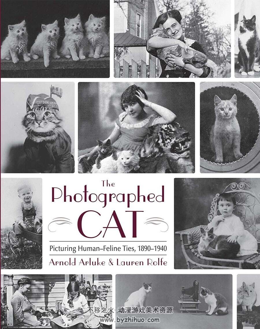 The Photographed Cat 为猫拍照 猫咪照片艺术写真集下载