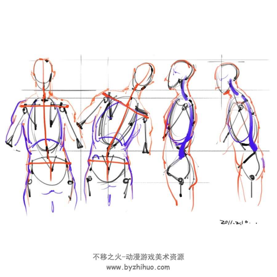 人体解剖骨骼关节结构 绘画参考素材下载