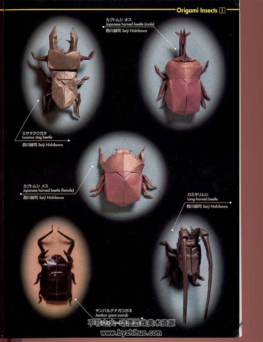 折纸图鉴：昆虫1&2 创意手工艺术作品步骤图解教程2册- 不移之火资源网