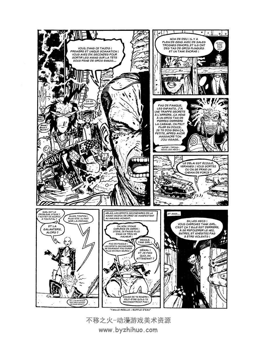 Tank Girl - Intégrale 全一册 Jamie Hewlett - Peter Milligan - Alan Martin - Alex Ni