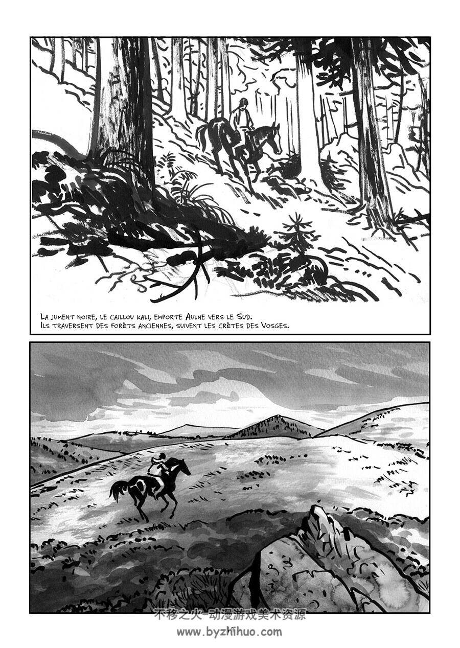 Cheval Caillou 全一册 Frédérique Rich 人与动物黑白法语漫画