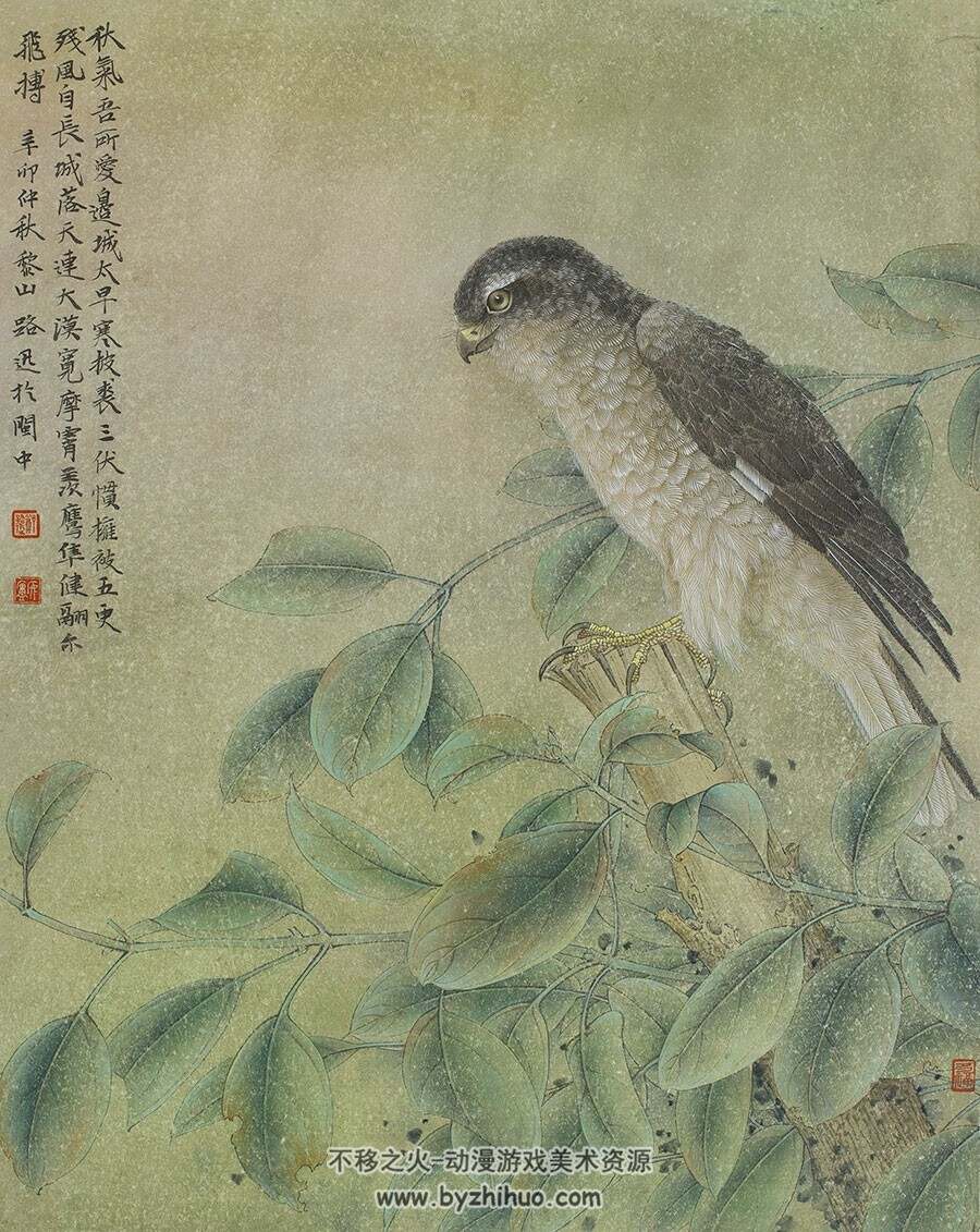 0基础 工笔国画绘画视频解说教学教程 国画大师绘制教学附参考 99.2GB