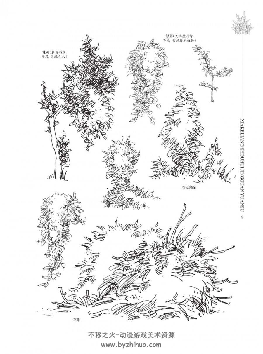 夏克梁夏老师手绘景观元素植物篇上效果图参考素材