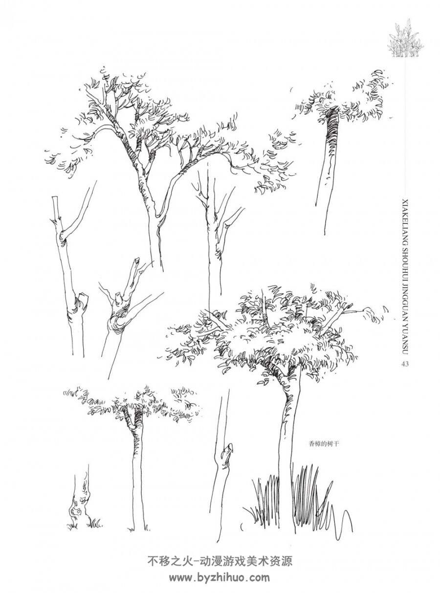 夏克梁夏老师手绘景观元素植物篇上效果图参考素材