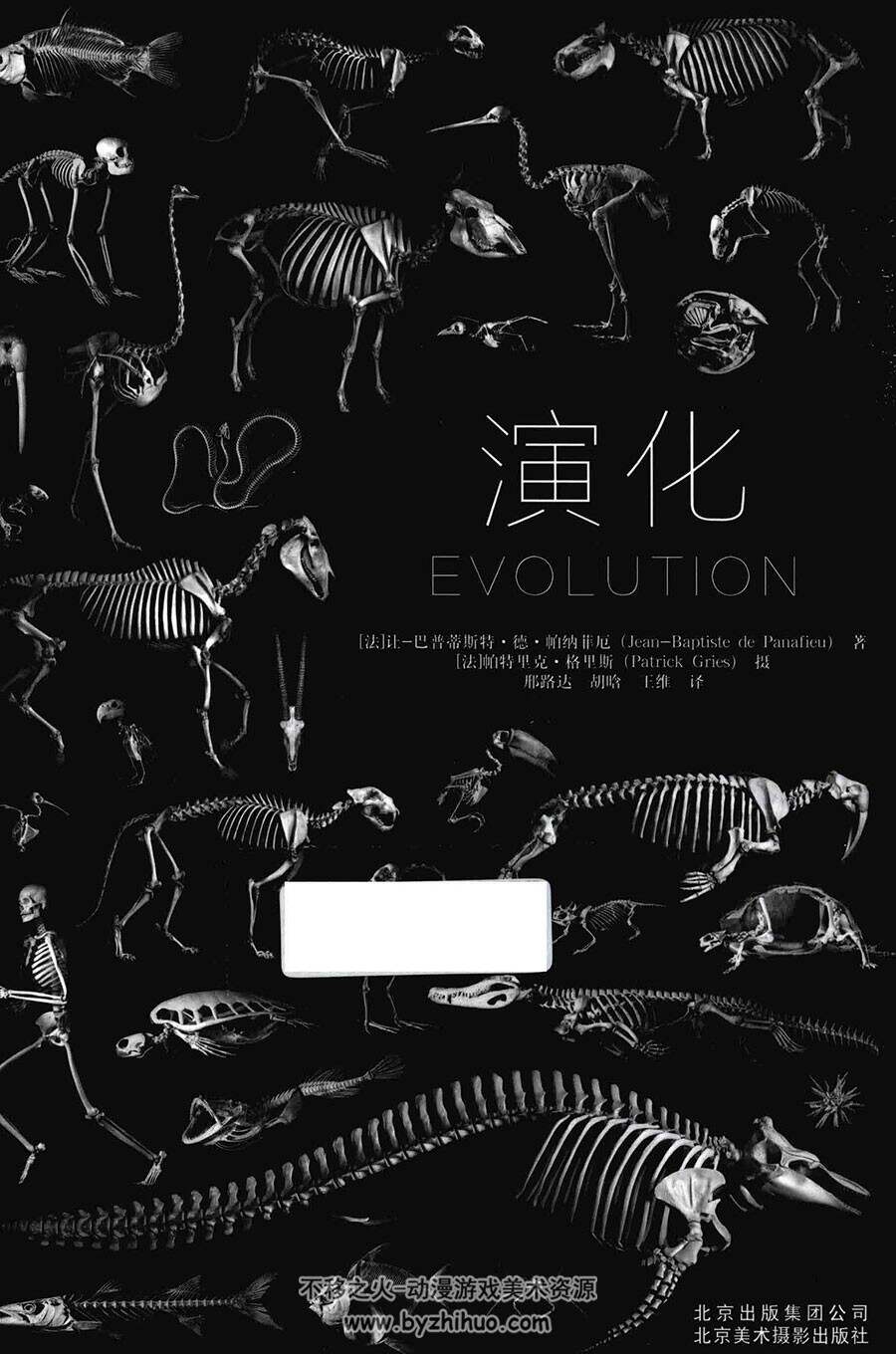 演化 动物骨骼结构精讲书籍图片参考 429P