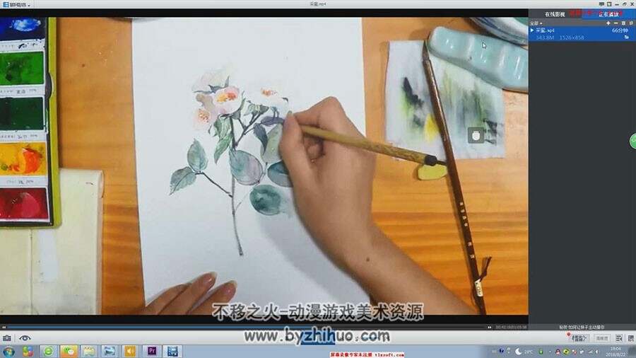 安浅浅唯美水彩 植物花卉手绘过程视频教程 资源下载