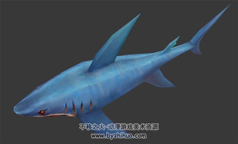 3dMax鲨鱼模型 带骨骼全套动作下载