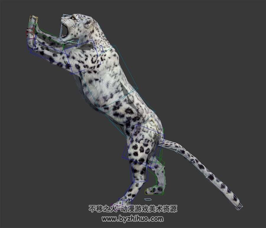 雪豹子3DMax模型分享下载 全套动作带绑定