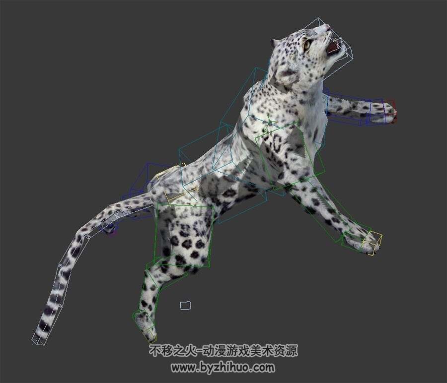 雪豹子3DMax模型分享下载 全套动作带绑定