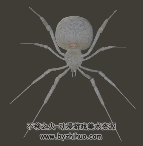 3D Low Poly - Black Window 蜘蛛模型