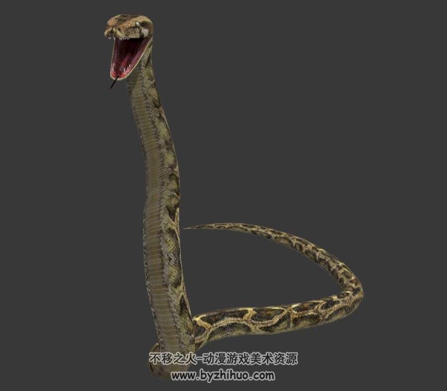 逼真的蟒蛇3DMax模型 游走动画无骨骼绑定下载