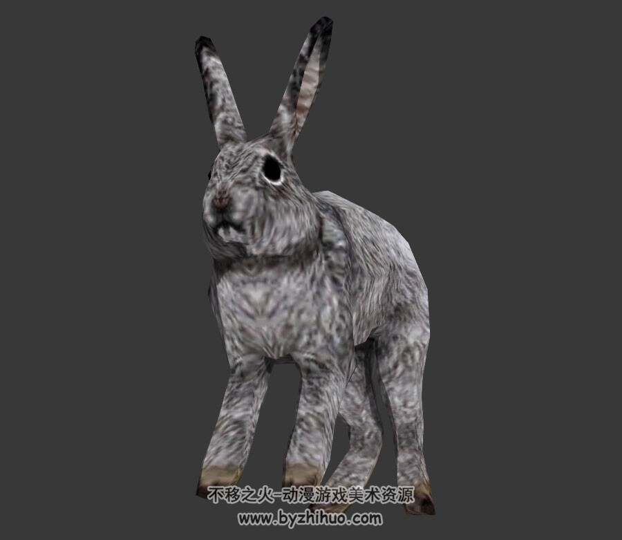 呆板灰兔子3DMax模型分享下载