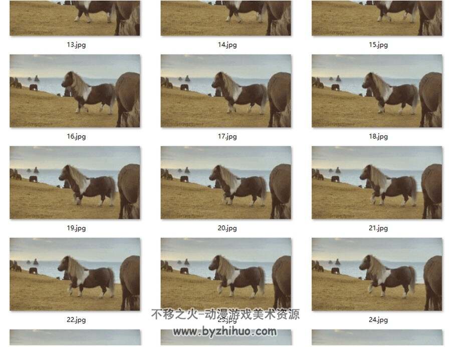 6组动物运动规律 动物奔跑运动规律照片素材参考资料