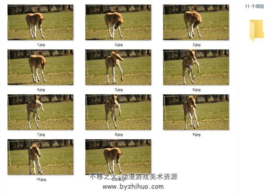 6组动物运动规律 动物奔跑运动规律照片素材参考资料