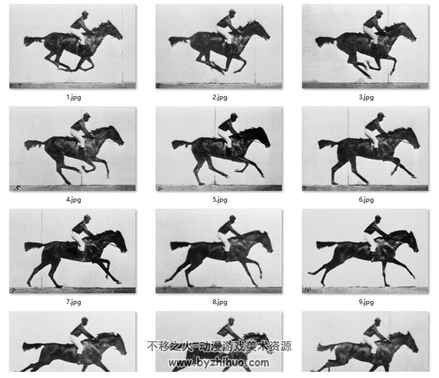 6组动物运动规律 动物奔跑运动规律照片素材参考资料