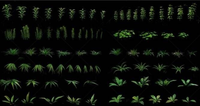 maya 植被库 动态植物 带动作动画材质贴图 1100GB