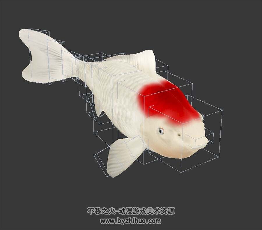 鲤鱼3DMax模型 带绑定游动动作下载