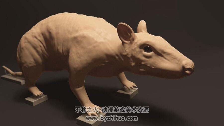 Maya 无毛老鼠 模型雕刻教学视频教程 附源文件