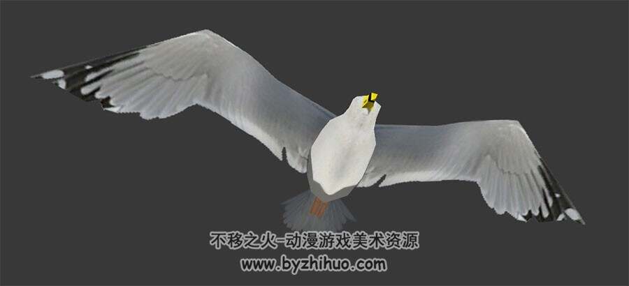 白海鸥3DMax模型带骨骼飞行动作下载
