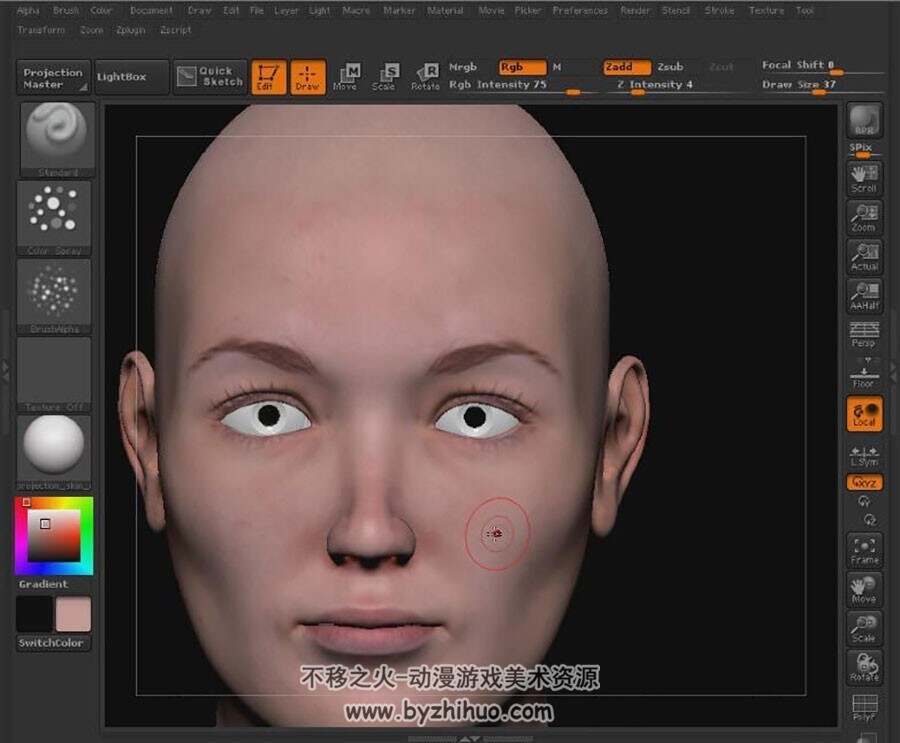 ZBrush纹理绘画教程 女性人贴图绘制教学 附源文件