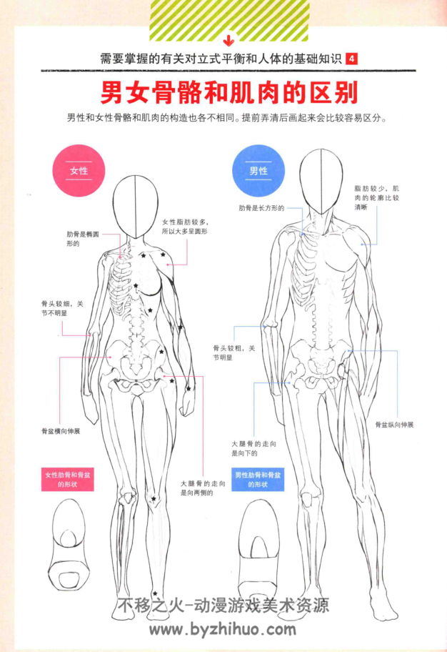 [插画教程]漫画初学者入门教程 女性角色的画法