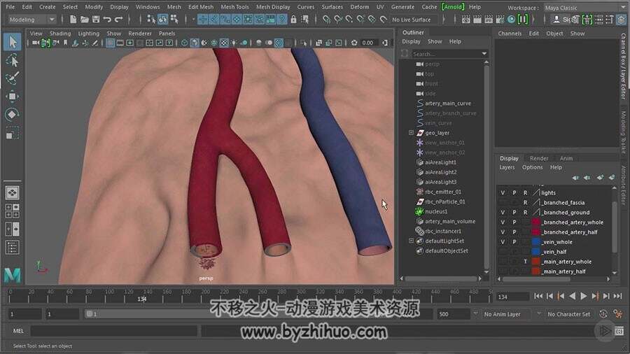 Maya医学动画制作视频教程 人体血液流动效果制作 附源文件