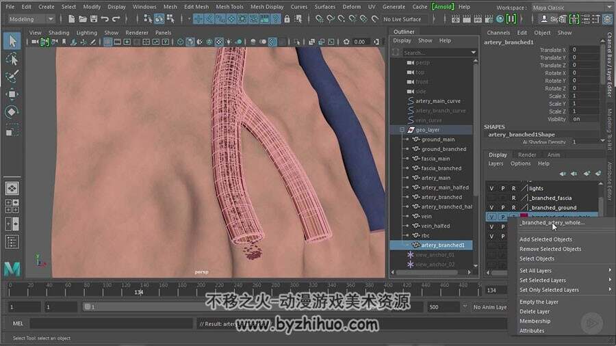 Maya医学动画制作视频教程 人体血液流动效果制作 附源文件