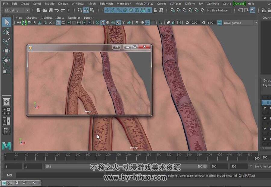 Maya医学动画制作视频教程 人体血液流动效果制作 附源文件