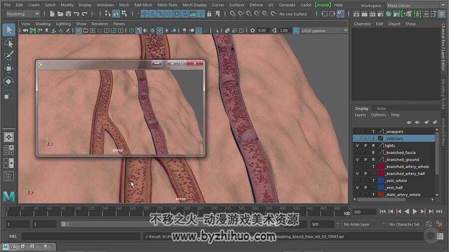 Maya医学动画制作视频教程 人体血液流动效果制作 附源文件