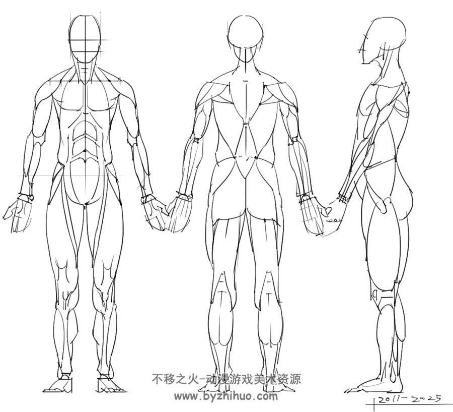 人体骨骼姿势 绘画解剖草图 肌肉骨骼参考资料素材