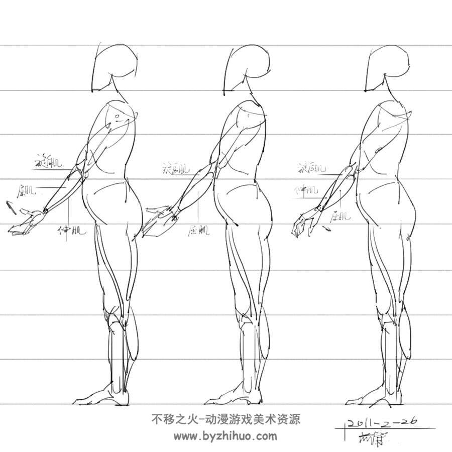 人体骨骼姿势 绘画解剖草图 肌肉骨骼参考资料素材