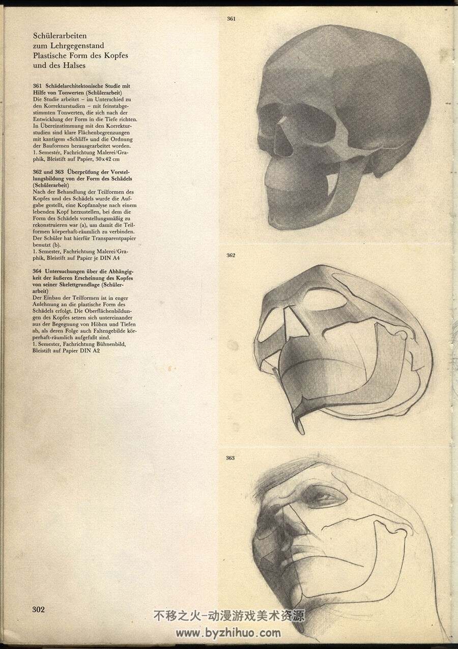 观察和理解 人体结构解剖绘画教材资料