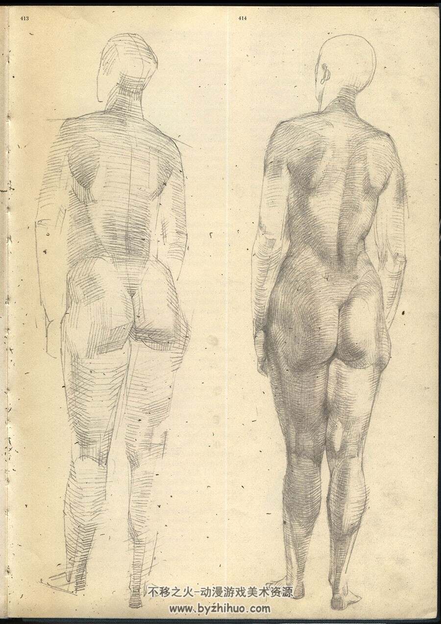 观察和理解 人体结构解剖绘画教材资料