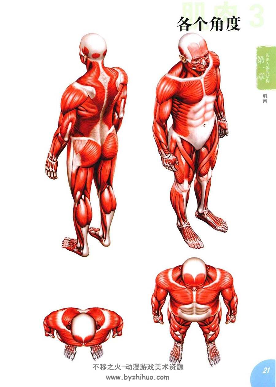 从人体解剖学习人物画法 超级漫画创作技法图解教程