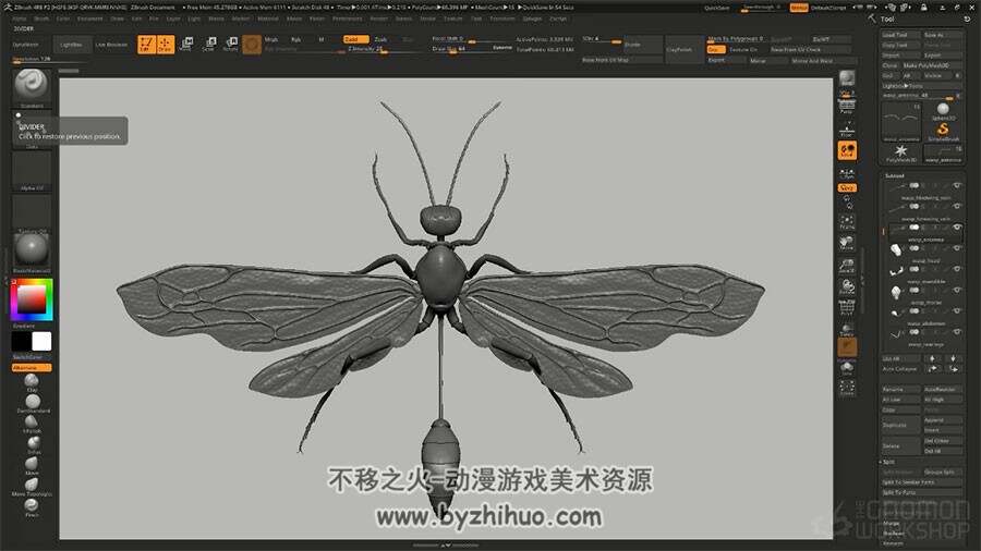 Zbrush昆虫制作视频教程 逼真的虫子雕刻渲染大师教学 附源文件