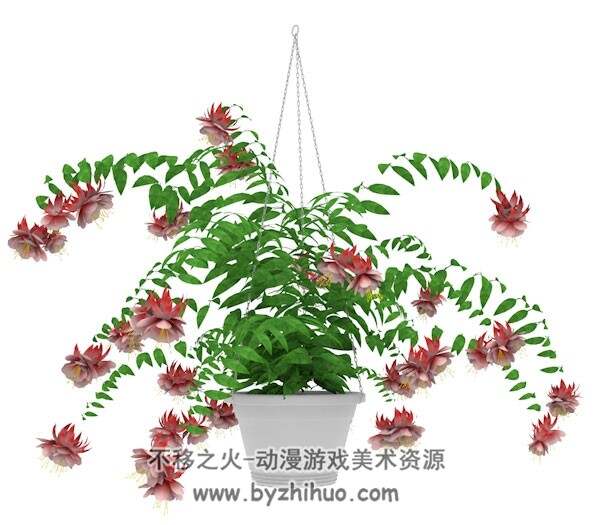 Hibiscus C4D盆吊花扶桑花花卉3D模型下载