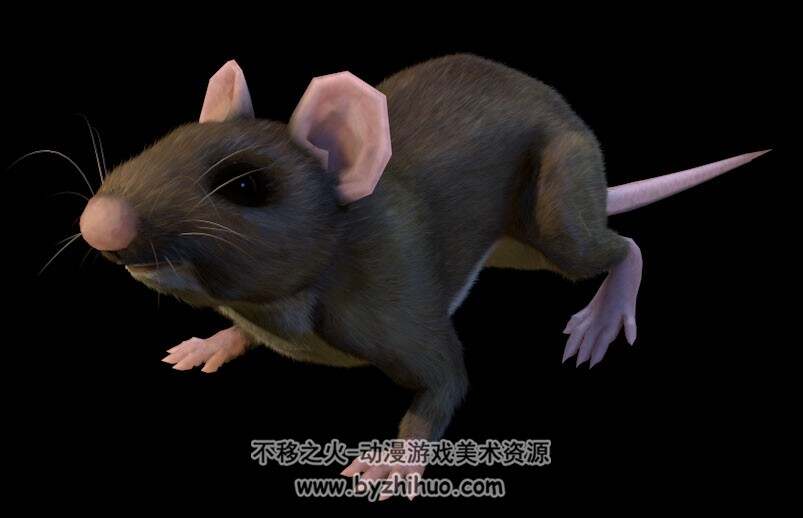 老鼠模型带动画带骨骼3dc4d模型下载